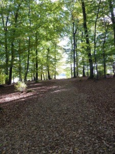 Lichtblick-3-225x300 in 